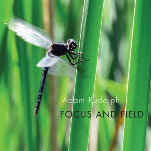 Rudolph: Focus & Field