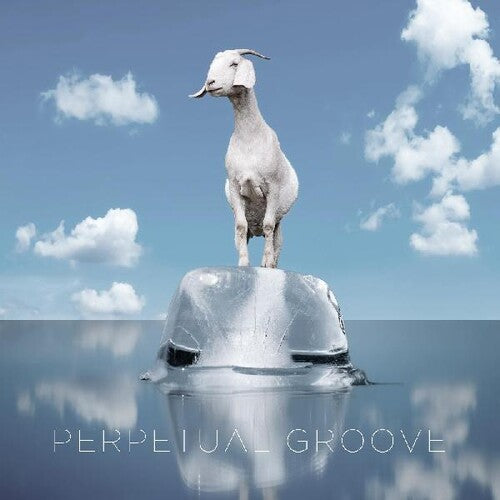 Perpetual Groove: Perpetual Groove