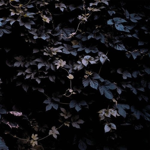 Michael Vallera: Vivid Flu - COMPACT DISCS