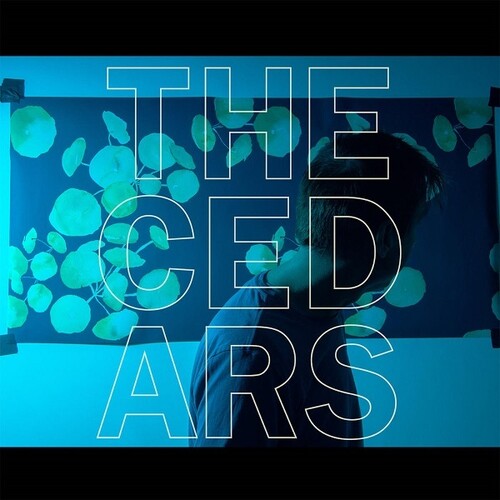 John Vanderslice: The Cedars - VINYL LP