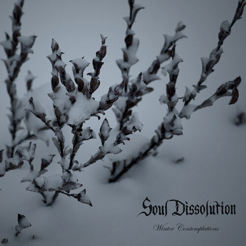 Soul Dissolution: Winter Contemplations