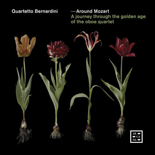 Around Mozart / Various: Around Mozart