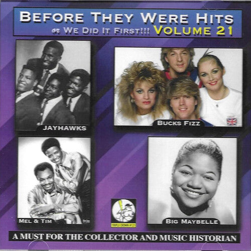 Before They Were Hits 21 / Var: Before They Were Hits 21 (Various Artists)