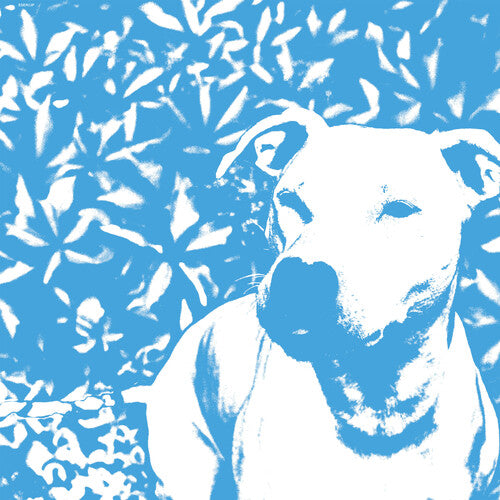 Jenna & Pups / the Hirs Collective: Split - VINYL LP