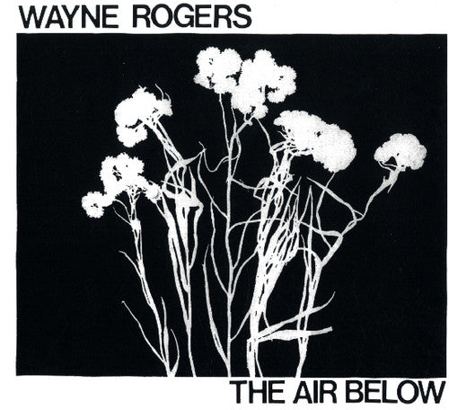 Rogers, Wayne: Air Below