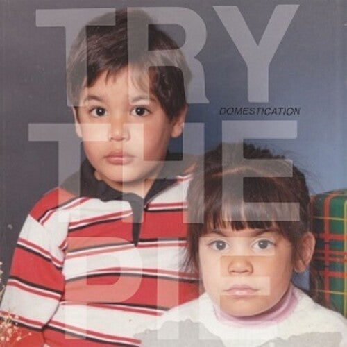 Try The Pie: Domestication - VINYL LP