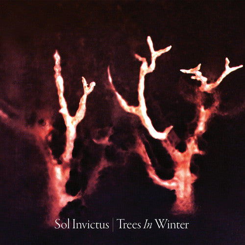 Sol Invictus: Trees In Winter