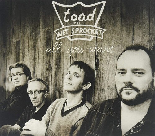 Toad the Wet Sprocket: All You Want - Best Of