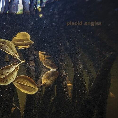 Placid Angles: Touch The Earth