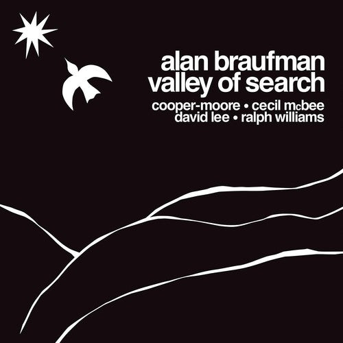 Braufman, Alan: Valley Of Search