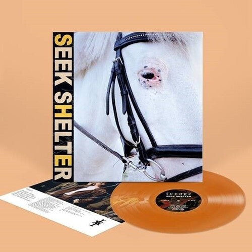 Iceage: Seek Shelter - Orange