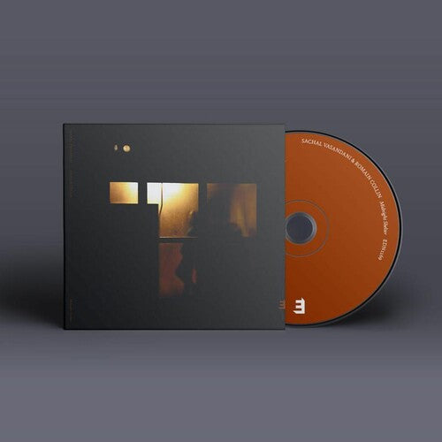 Vasandani, Sachal: Midnight Shelter - COMPACT DISCS