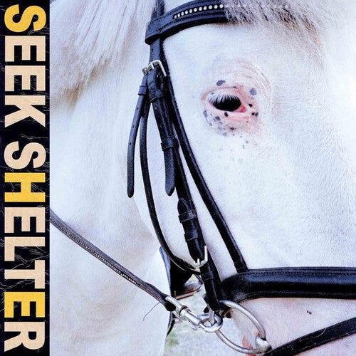 Iceage: Seek Shelter - VINYL LP