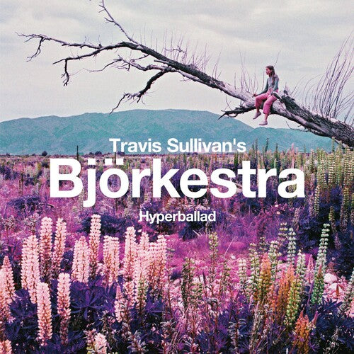 Travis Sullivan's Bjorkestra: Hyperballad / Venus As A Boy