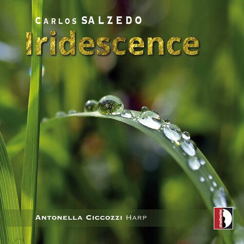 Salzedo / Antonella Ciccozzi: Iridescence