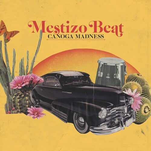 Mestizo Beat: Canoga Madness