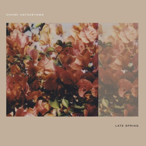 Chihei Hatakeyama: Late Spring - COMPACT DISCS