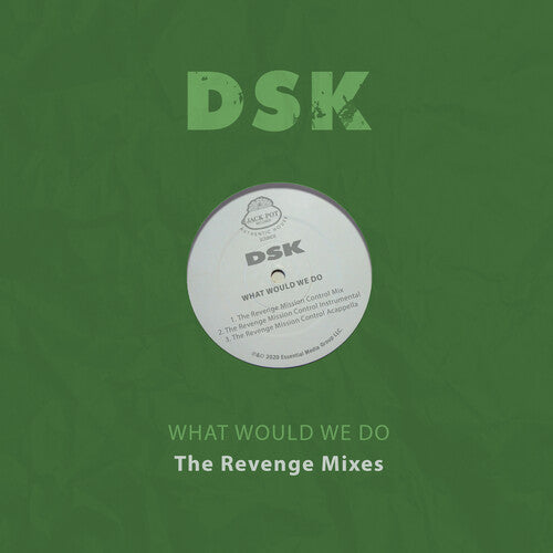 DSK: What Would We Do - The Revenge Mixes