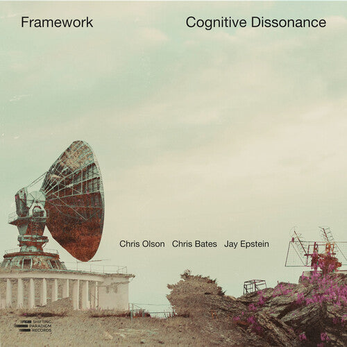 Framework: Cognitive Dissonance