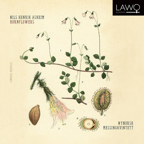 Nynorsk Messingkvintett: Hornflowers - COMPACT DISCS