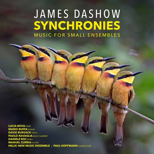 Dashow: Synchronies