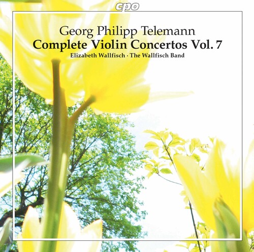 Telemann / Wallfisch Band: Complete Violin Concertos 7