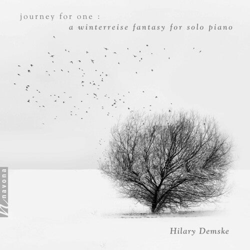 Schubert / Demske: Journey for One