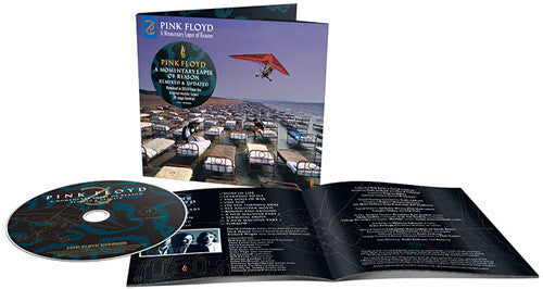 Pink Floyd: A Momentary Lapse Of Reason