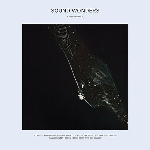 Sound Wonders / Various: Sound Wonders (Various Artists)