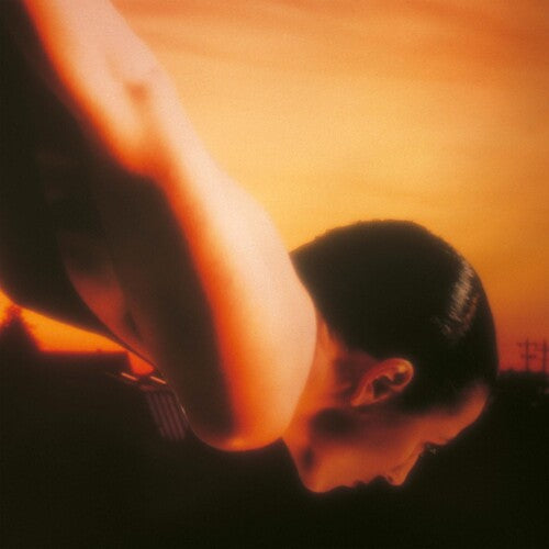 Porcupine Tree: On The Sunday Of Life