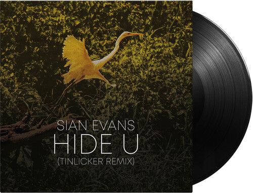 Sian Evans (Kosheen) / Tinlicker & Helsloot: Hide U (tinlicker Remix) / Because You Move Me