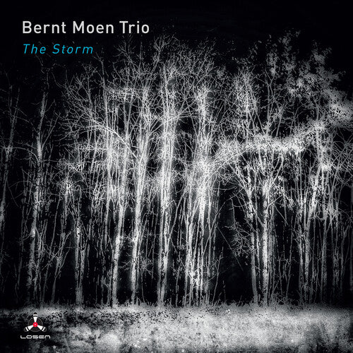 Bernt Moen Trio: Storm