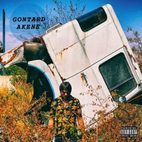 Gontard: Akene