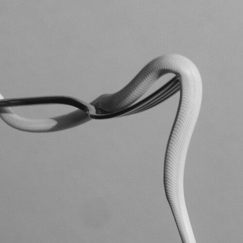 Animals as Leaders: Parrhesia - VINYL LP