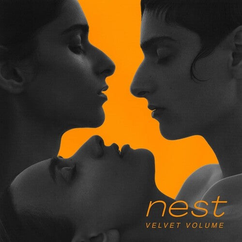 Velvet Volume: Nest Vinyl - VINYL LP
