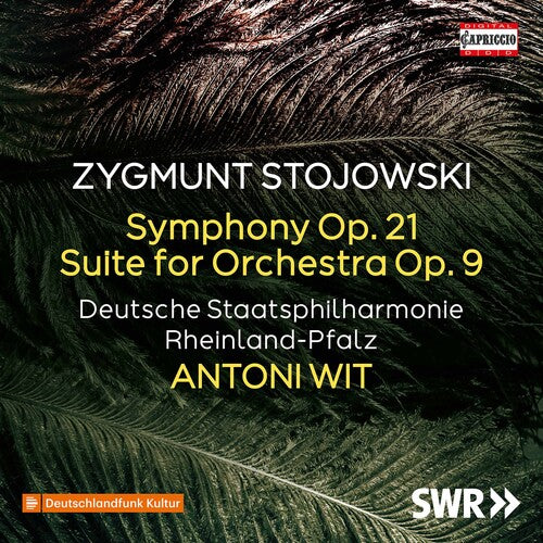 Stojowski / Witt: Symphony 21