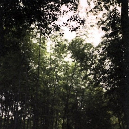 Jetenderpaul: Wooden Spires - COMPACT DISCS