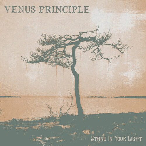 Venus Principle: Stand In Your Light