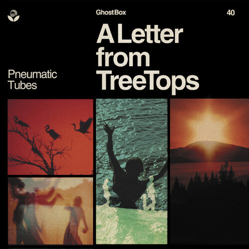 Pneumatic Tubes: Letter From Treetops