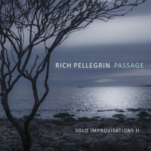 Pellegrin, Rich: Passage: Solo Improvisations Ii