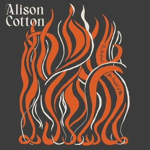 Cotton, Alison: Portrait You Painted of Me