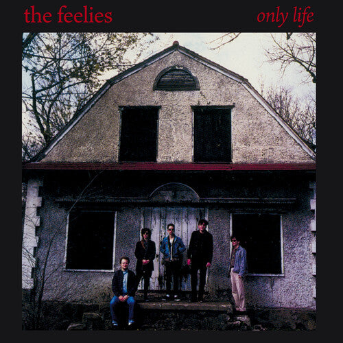 Feelies: Only Life