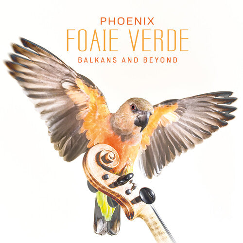 Foaie Verde: Phoenix