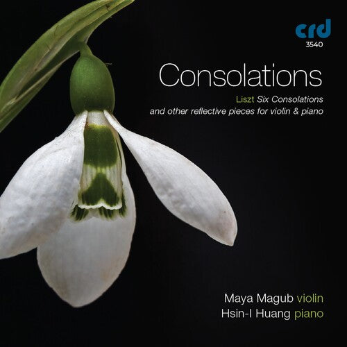 Consolations / Various: Consolations