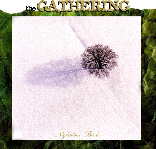 Gathering: Nighttime Birds