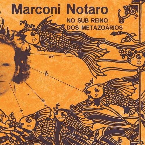 Notaro, Marconi: No Sub Reino dos Metazoarios