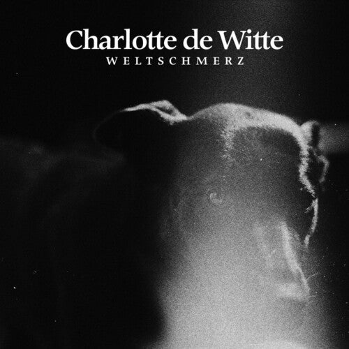 De Witte, Charlotte: Weltschmerz