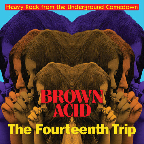 Brown Acid - Fourteenth Trip / Various Artists: Brown Acid - Fourteenth Trip (various Artists)