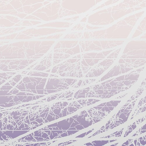 Lea Bertucci: Metal Aether / Resonant Field - VINYL LP