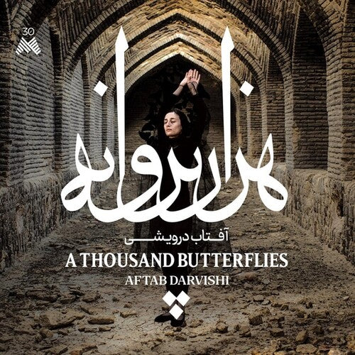 Darvishi, Aftab: Thousand Butterflies